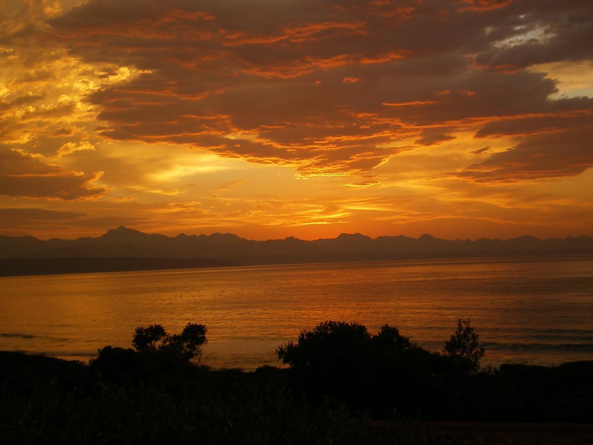 Dolphins' Playground Beachfront B&B Plettenberg Bay Bagian luar foto
